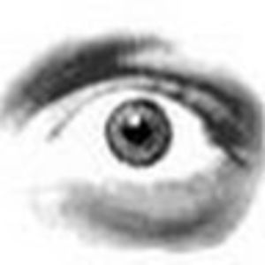 Meet your Posher, Buzz